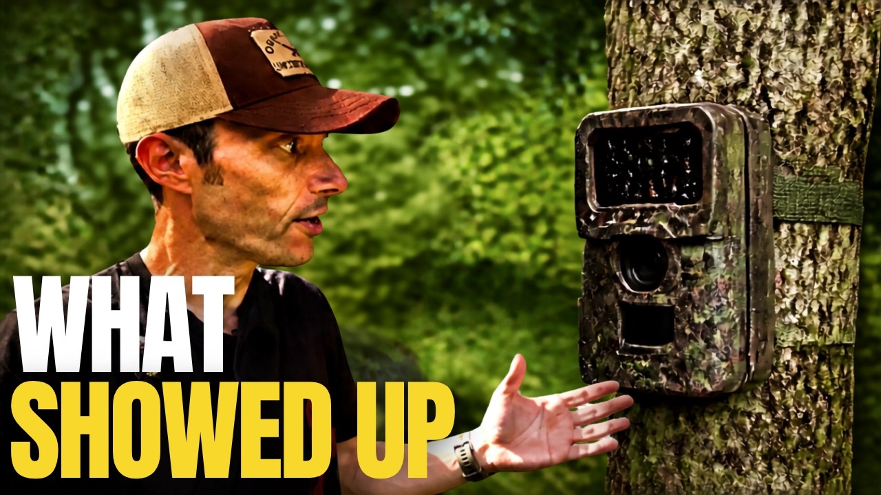 I Can’t Believe What My Trail Cam Caught!