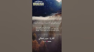 يُخْرِجُ ٱلْحَىَّ مِنَ ٱلْمَيِّتِ وَيُخْرِجُ ٱلْمَيِّتَ مِنَ ٱلْحَىِّ - سورة الروم #محمد_قصطالي