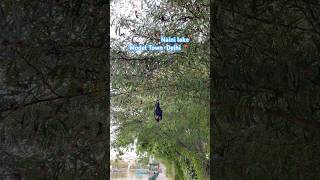 Model Town | Delhi | Naini lake |