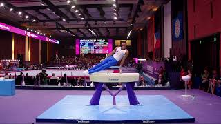 TRAORE-MALATRE Leeroy (FRA)_2025 Artistic Junior Worlds - _Qualifications_Pommel Horse