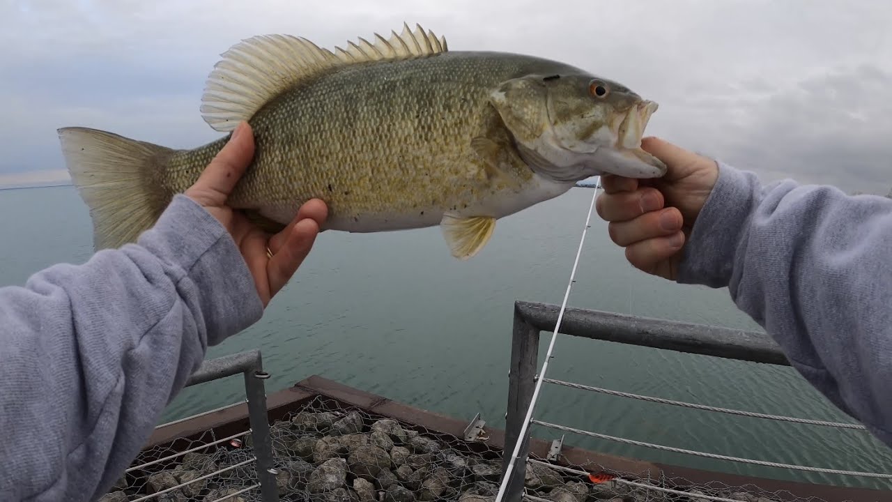 Lake St Clair Bass Fishing From The Bank