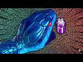 Snake Clash : Gameplay Walkthrough Part 35 Tutorial NEW Mobile Game (Android,ios)