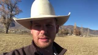 How to fix a mule pawing in the trailer