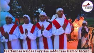 Faaruu Waldaa fayyisaa Adduunyaa Ayyaana Fayyisaa Adduunyaa sababeeffachuun faarfatame.