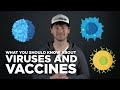 What are Viruses and Vaccines?