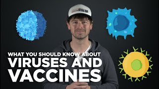 What are Viruses and Vaccines?