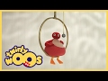 Twirlywoos en franais le tournis  103