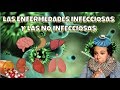 Las enfermedades infecciosas y no infecciosas - 3º ESO - Bio[ESO]sfera