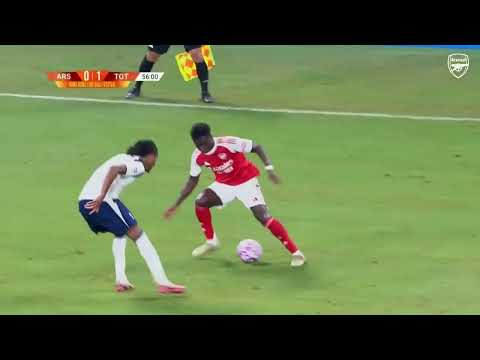 توتنهام و ارسنال وديات الأندية