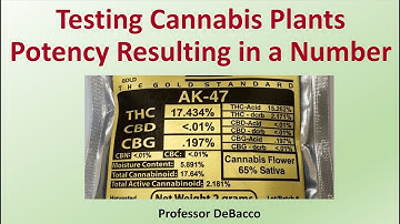 Testing Cannabis Plants Potency Resulting in a Number