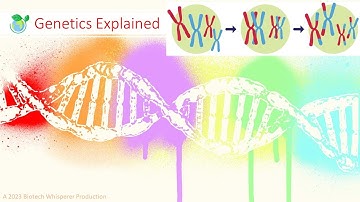 Genetics Explained in 6 Minutes