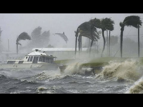 Βίντεο: Ήταν το eta μια τροπική καταιγίδα;