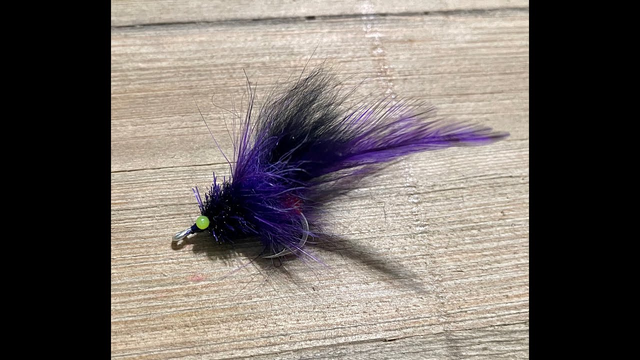 Laid up Tarpon Fly