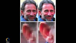 Qué Son Imágenes Vectoriales Y De Mapas De Bits?