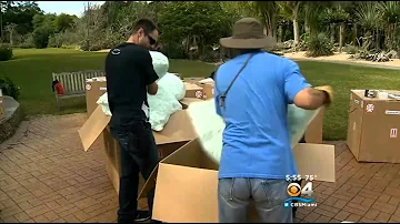 A Look At The Transport & Installation Of Dale Chihuly's Art At Fairchild