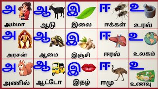 அஆஇஈ/உயிரெழுத்துக்கள்/Uyireluthukkal/Tamil Alphabets for kids @PEEKABOO-ff8wq #uyireluthukkal