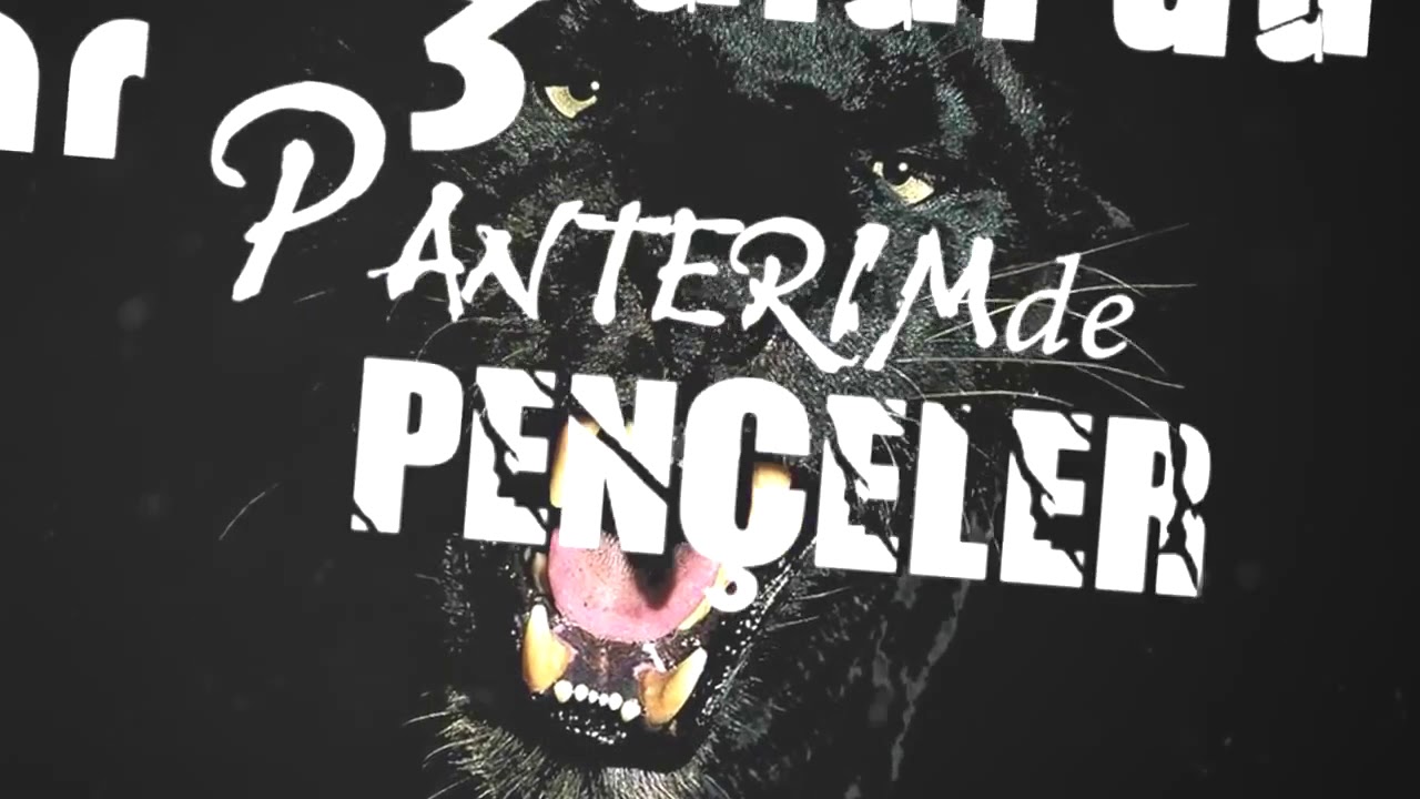 Velet   Alfabe A dan Z ye Rap