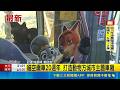 貓空纜車20週年 打造動物方城市主題車廂 貓纜6月停駛20天 今首日開放.帶彩繪車廂回歸｜三立新聞LIVE