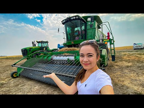 Day In the Life Of Wheat Harvest on our Montana Farm 2021