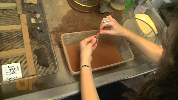Barbara Heath Excavates at Thomas Jefferson Planta...