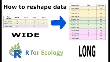 How to reshape your data in R for analysis (Wide to long and vice versa)