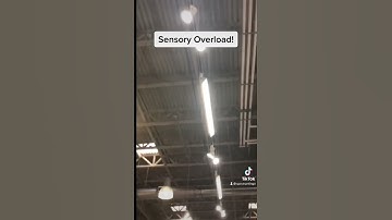 Simulation of a sensory overstimulation experience for Autistic individuals.