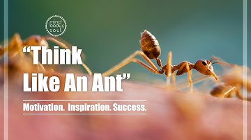 Motivation - The Ants Philosophy by Jim Rohn