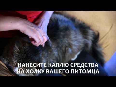 Капли для кошек от блох, клещей, власоедов и комаров
