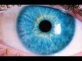 HOW IT WORKS: The Human Eye