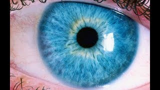 HOW IT WORKS: The Human Eye