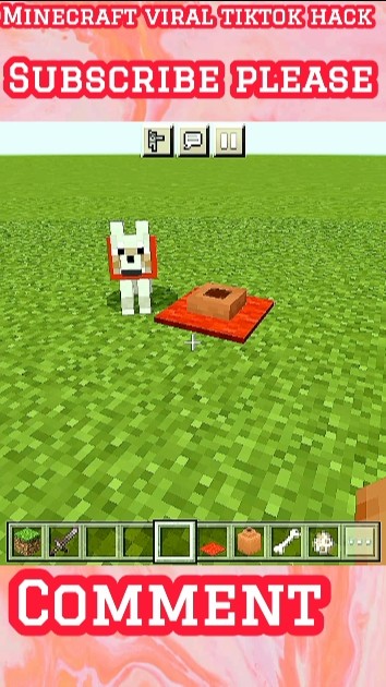Minecraft viral tiktok hack #minecraft #gaming #trending #short #viral ...