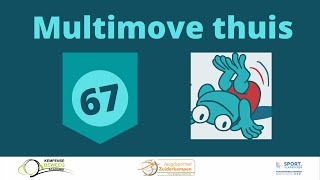 Multimove thuis 67