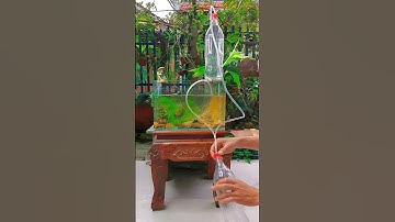 Aquarium oxygen does not use electricity #shorts