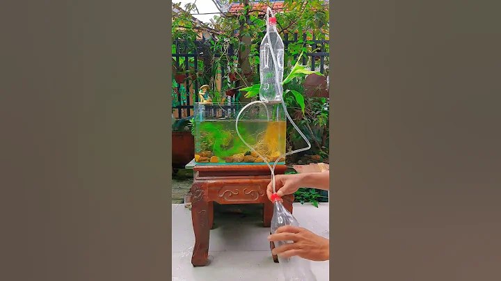 Aquarium oxygen does not use electricity #shorts