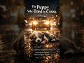 The puppy didn't know he in dangerous road💔😢☠️ #emotionalstory #hearttouching #emotional