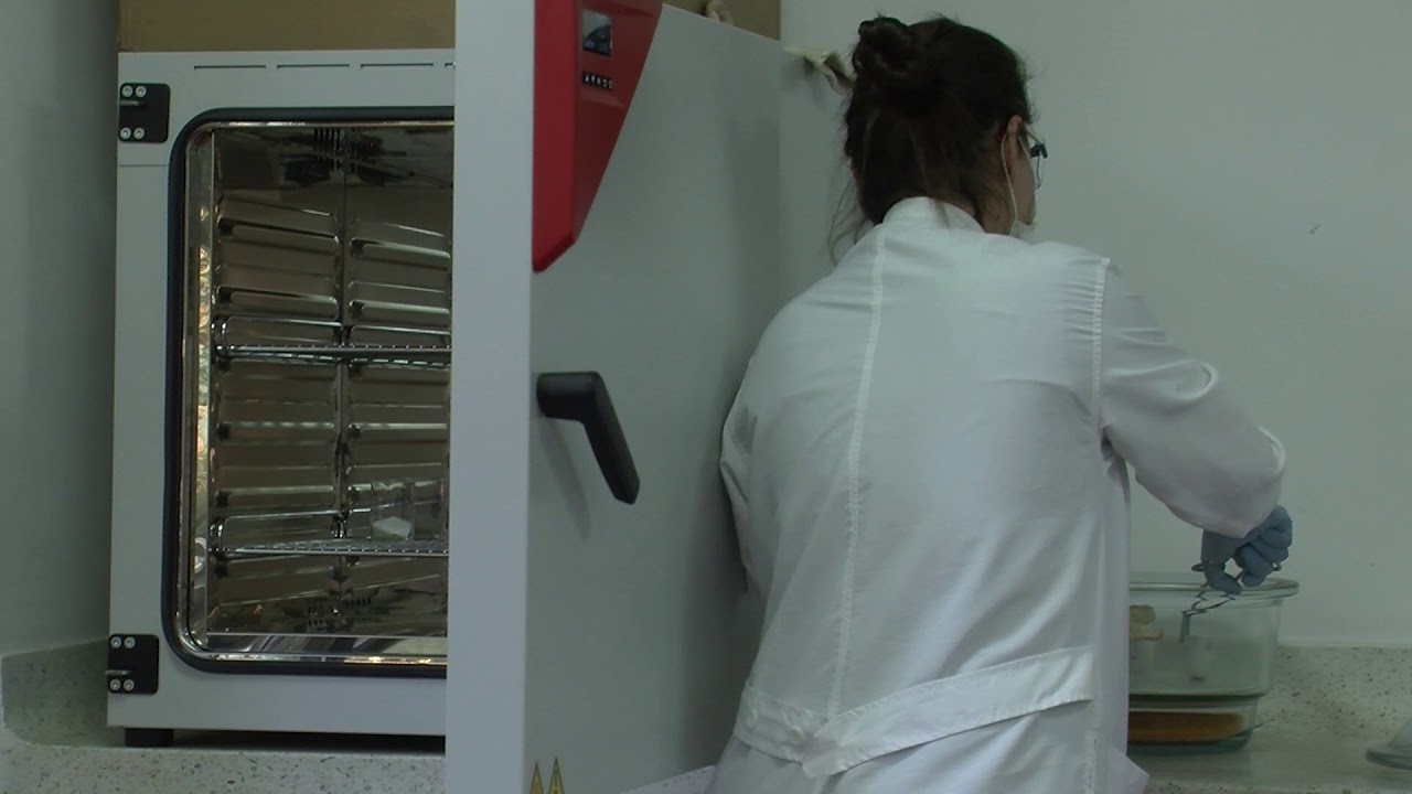 Práctica No. 1  Determinación de humedad y cenizas totales en muestras de alimentos.