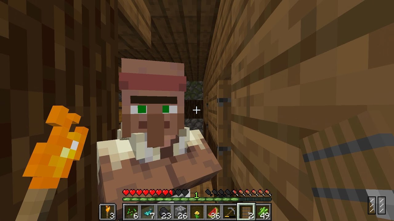 Villager Stealing My Bed