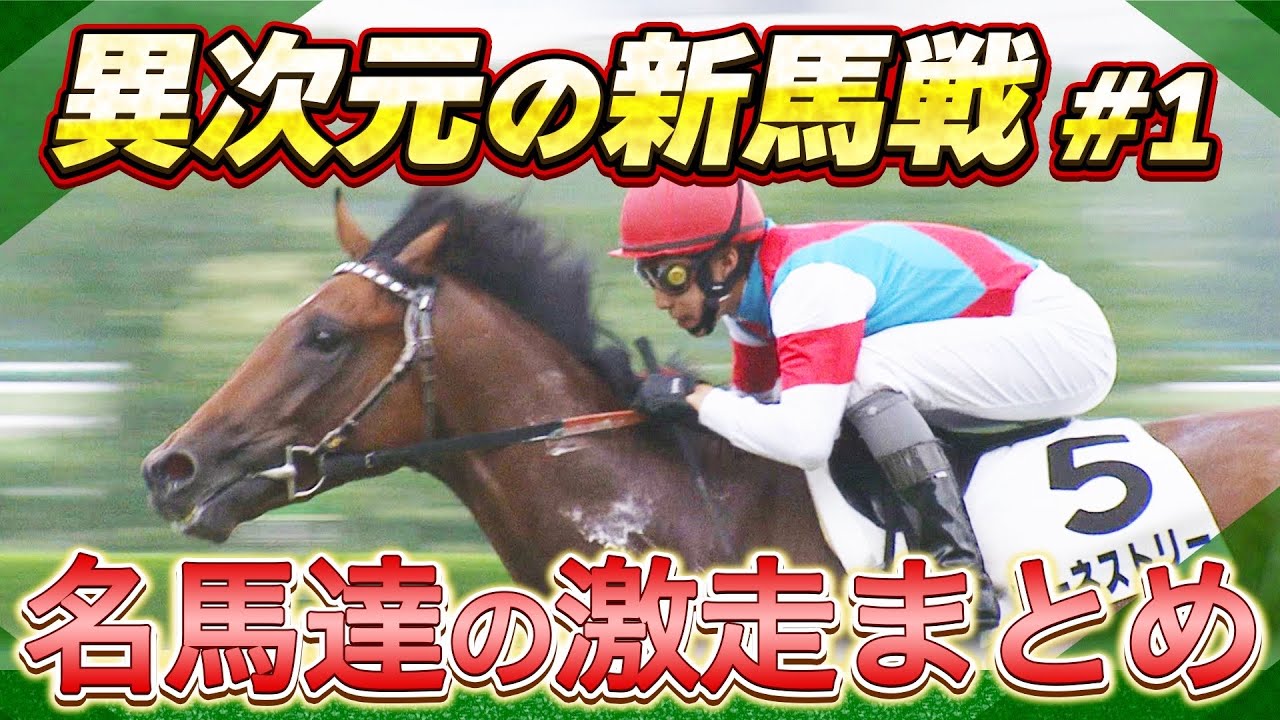 関連動画1