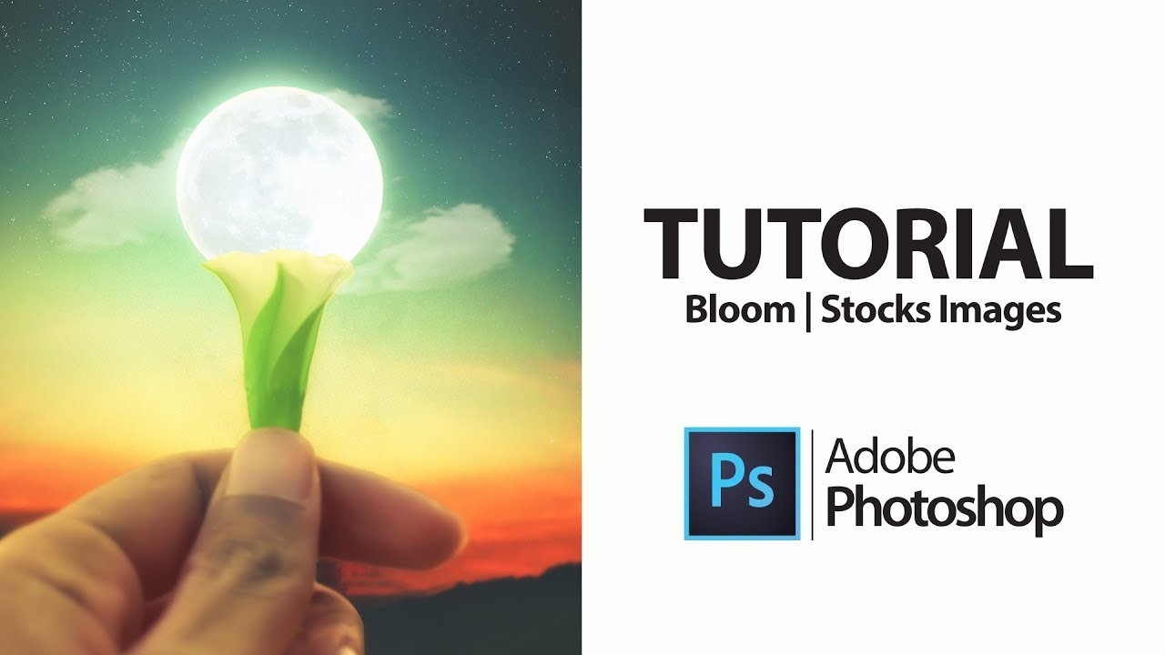 Bloom | Photoshop Manipulation Tutorial Processing - YouTube