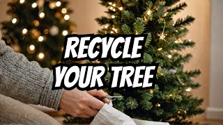 I Tried 5 Creative Ways to Recycle My Christmas Tree