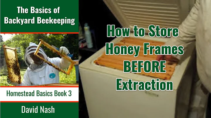 How to Store Honey Frames Before Extraction