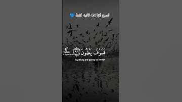 القران الكريم /القارئ اسلام صبحي/تلاوه هادئه 💙