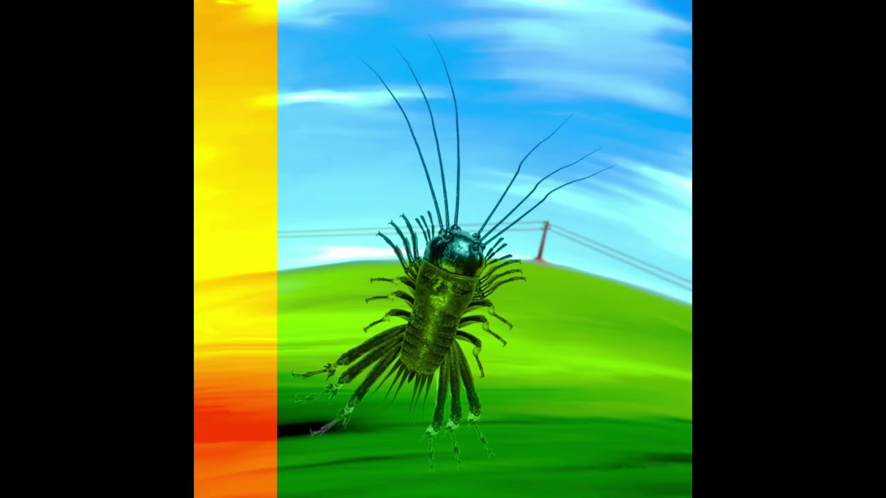 Lecture Hall - Cricket (Full Album)