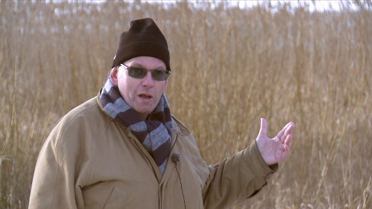 Det er dahl der er derude - Søgård sø og skov