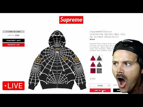 I ACTUALLY HIT THE SUPREME SPIDER-MAN VANSON DROP… HUGE W's