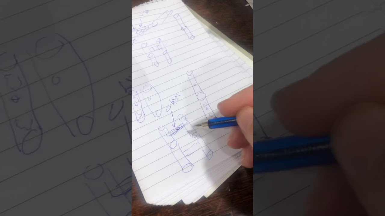 المرحله الثالثه / طحالب عملي / مميزات رتبه zygnematales جنس zygnema جنس ‏spirogyra