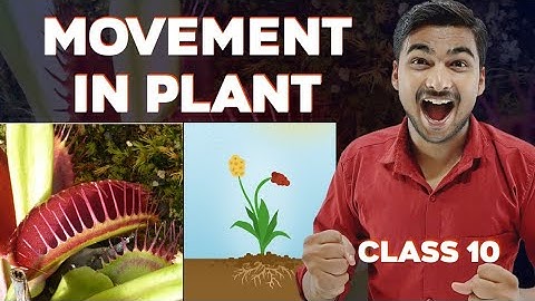 Class 10 | Movement in Plant ☘️🌵 | Control and Coordination