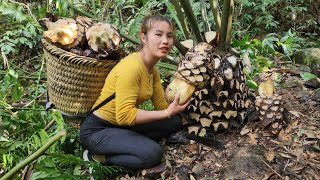 FULL VIDEO: process, harvest, taro, horseshoe tubers, natural ginseng, bring to market, sell