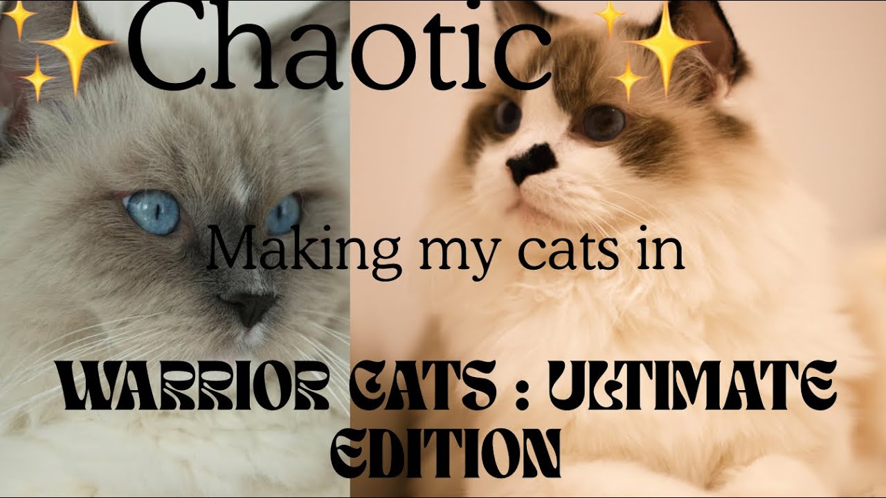 Slightly CHAOTIC.. Making my #cat in #wcue ! You don’t wanna miss this✌️/ #wcuemorph #wcuefyp 