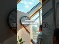 Natural Light Secrets for Workplace Focus